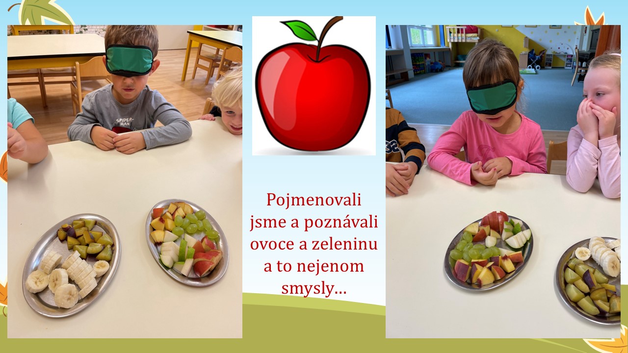 Snímek12