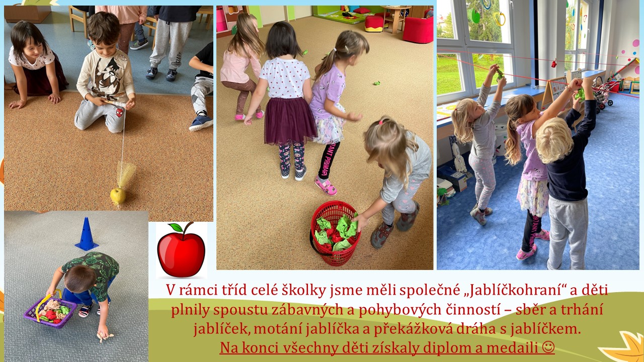 Snímek13