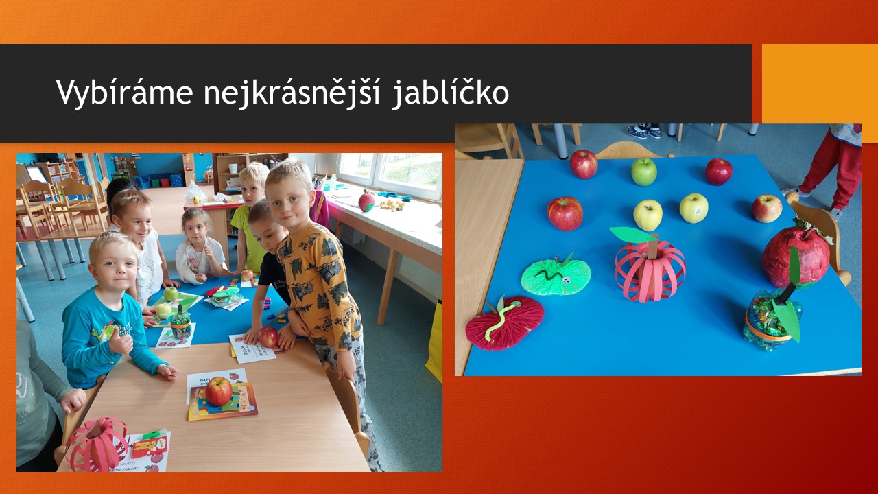 Snímek2