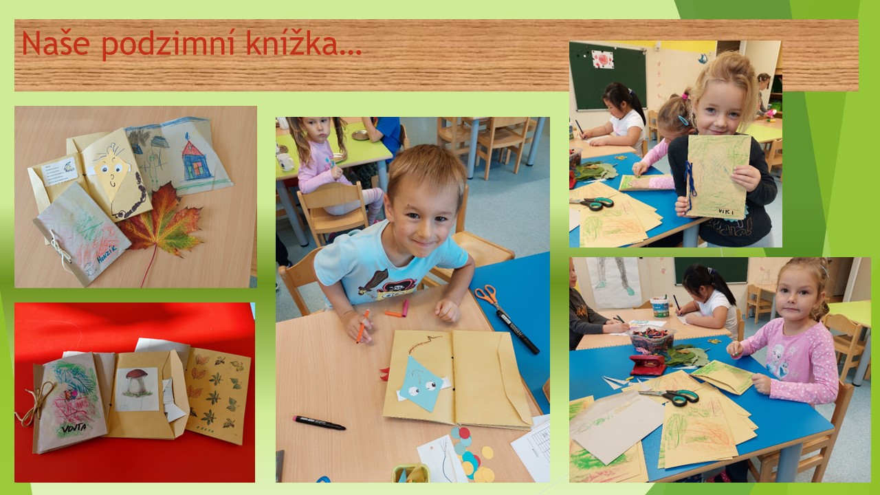 Snímek8
