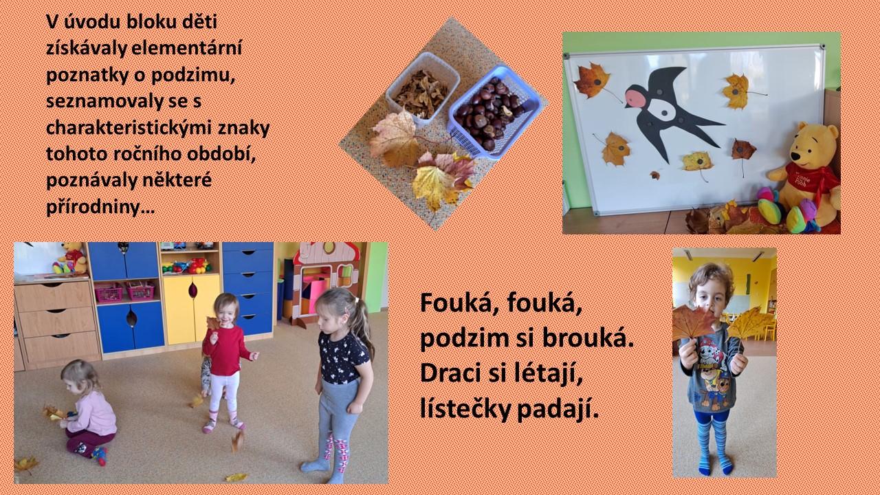 Snímek2