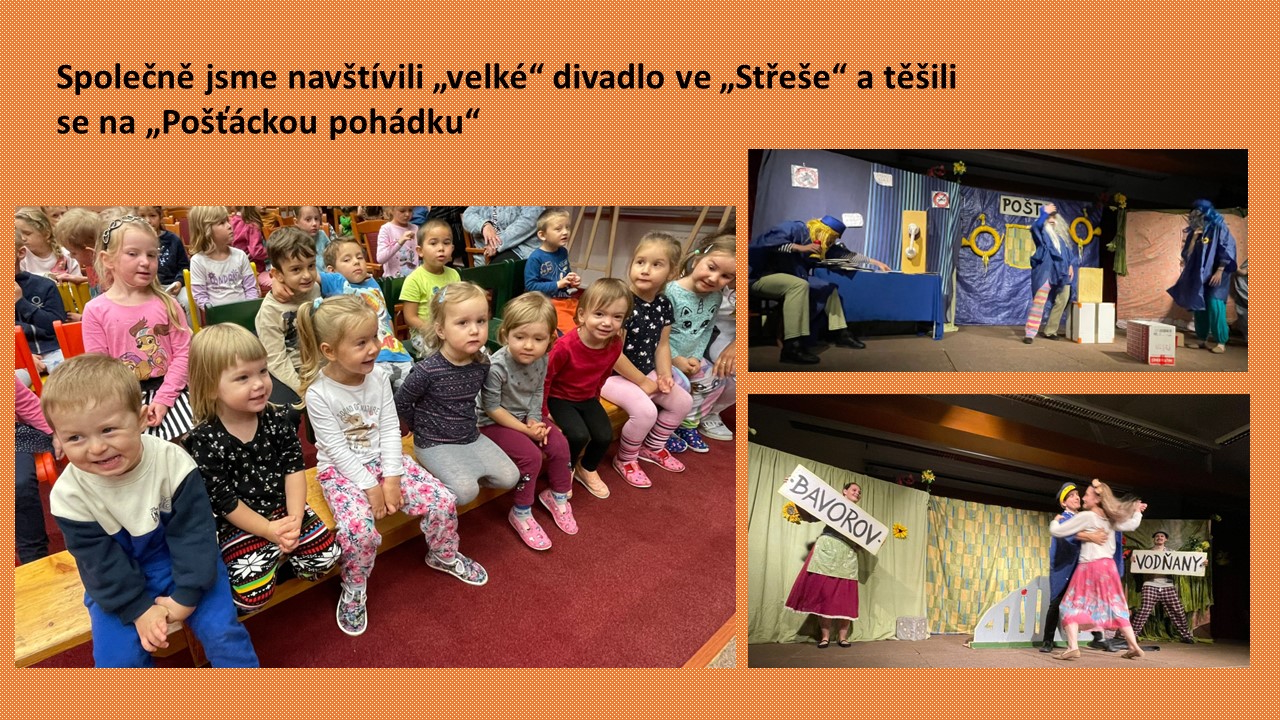 Snímek8