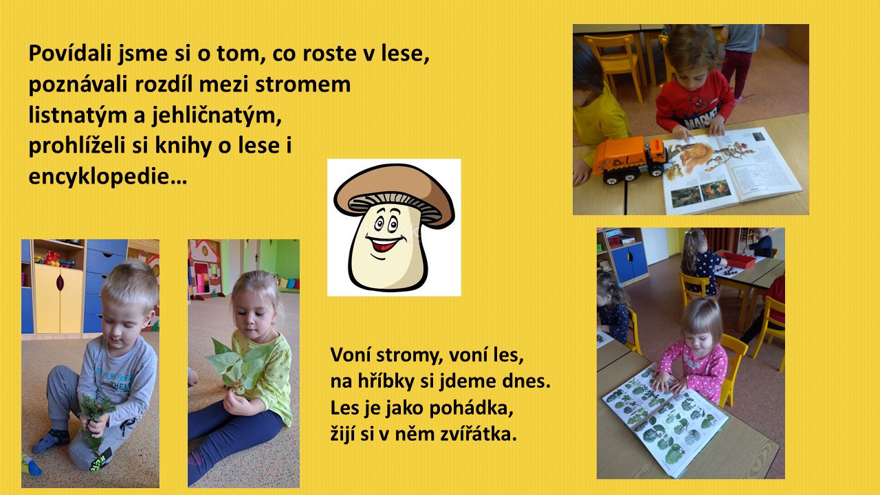 Snímek10