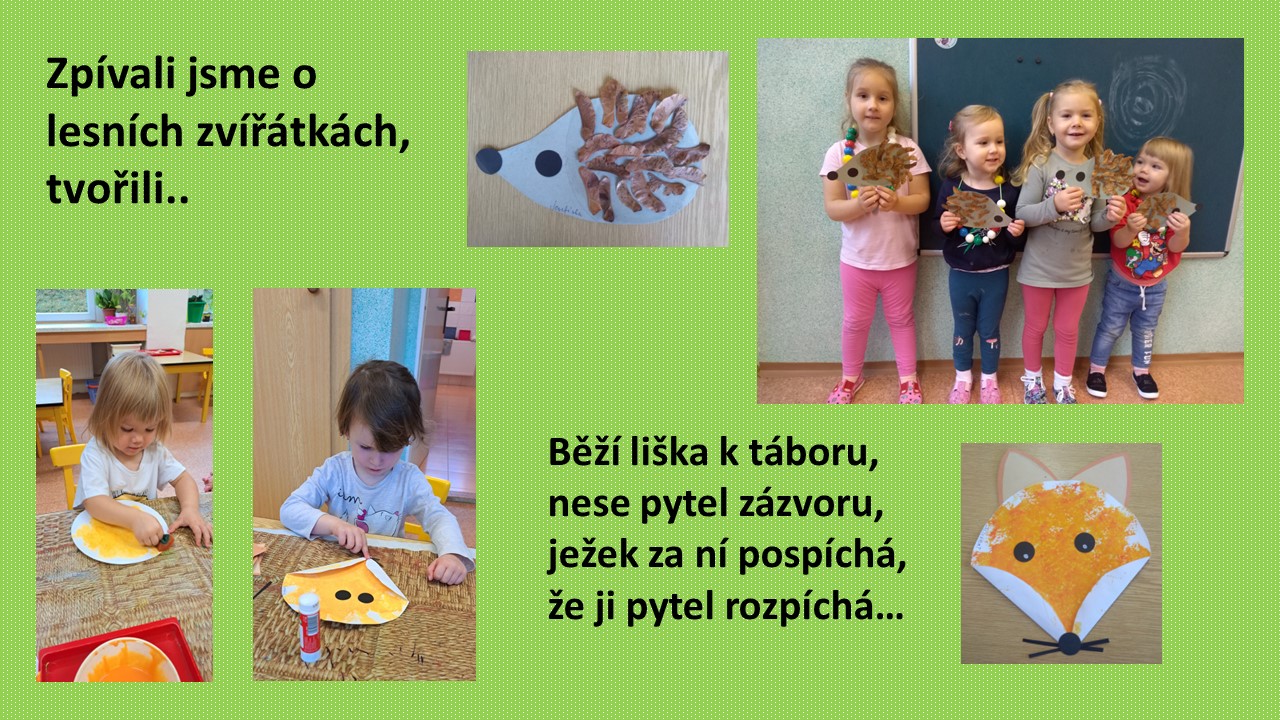 Snímek11