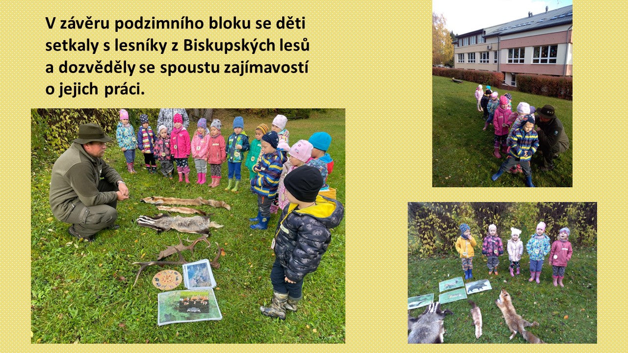 Snímek13