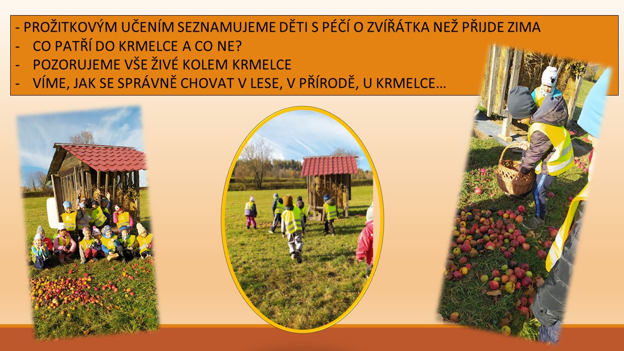 PODZIM (7)
