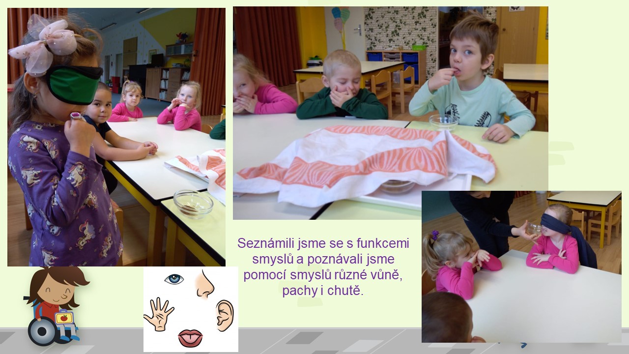 Snímek9