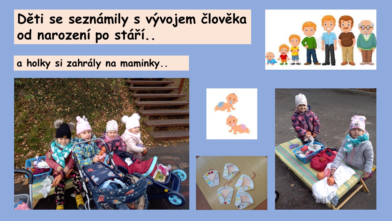 Snímek8
