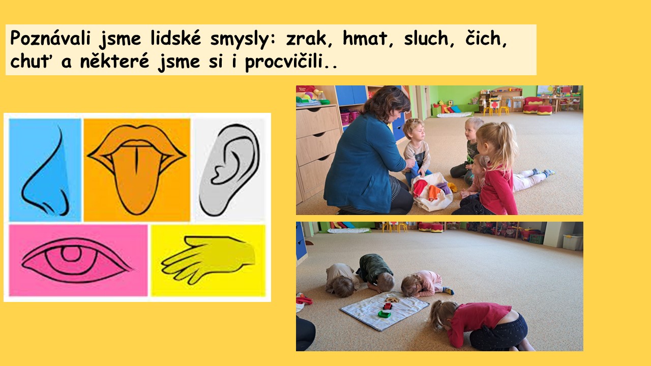 Snímek10