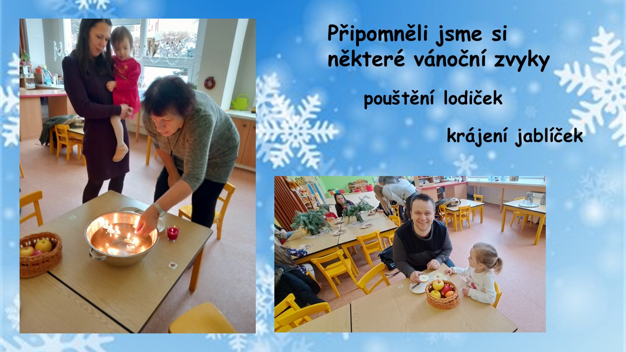 Snímek11