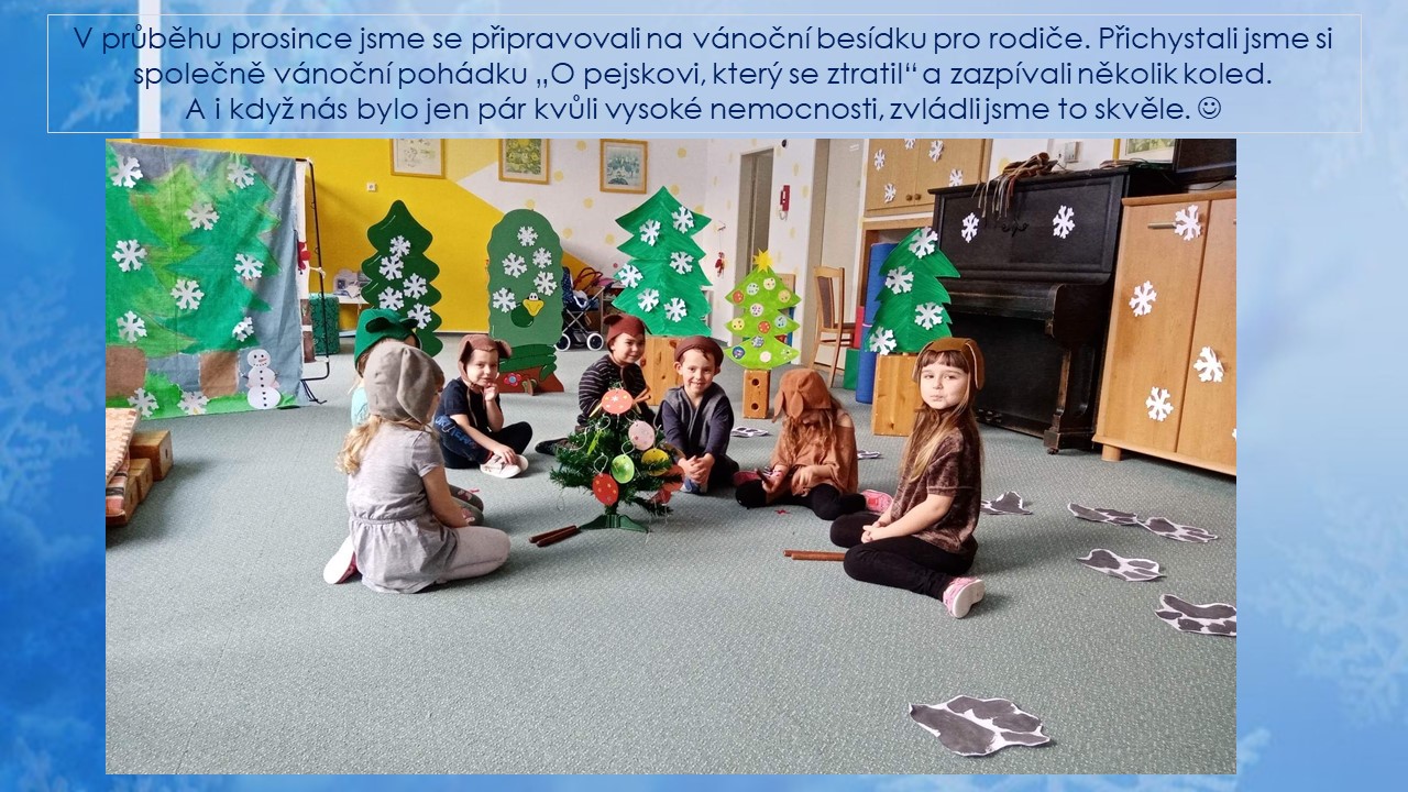 Snímek10