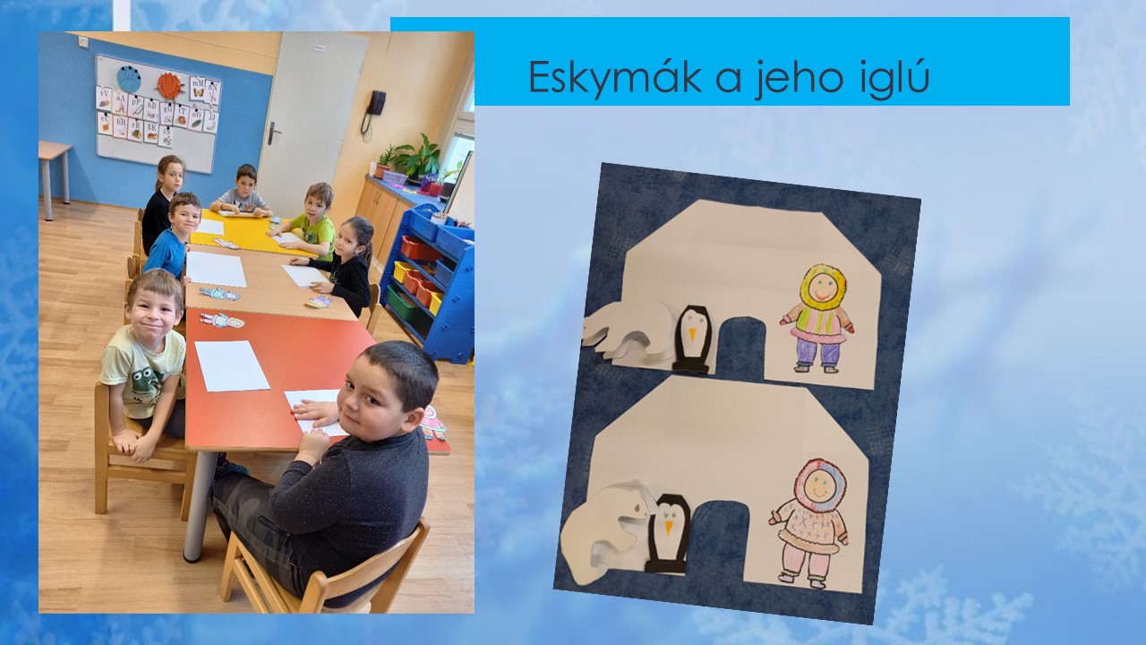Snímek8