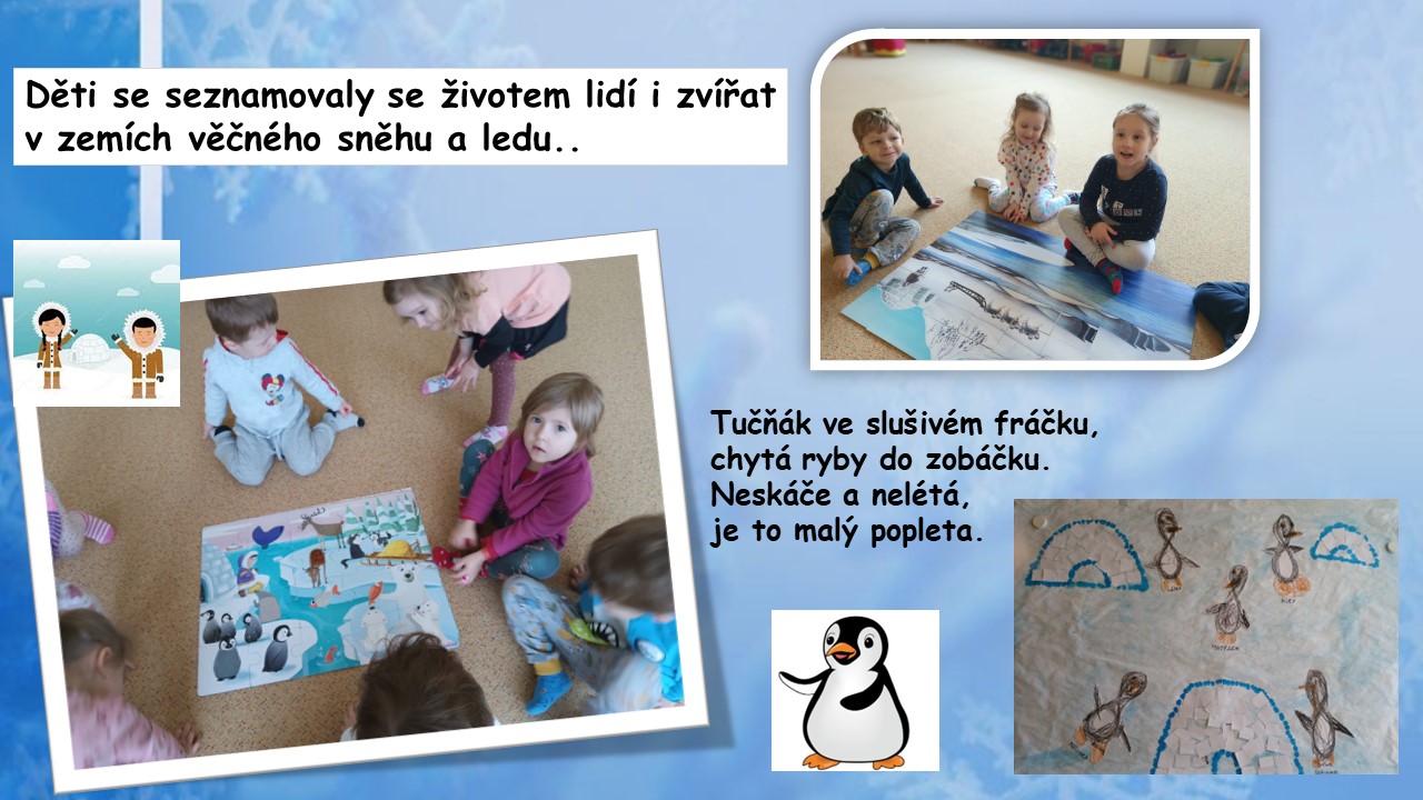 Snímek9