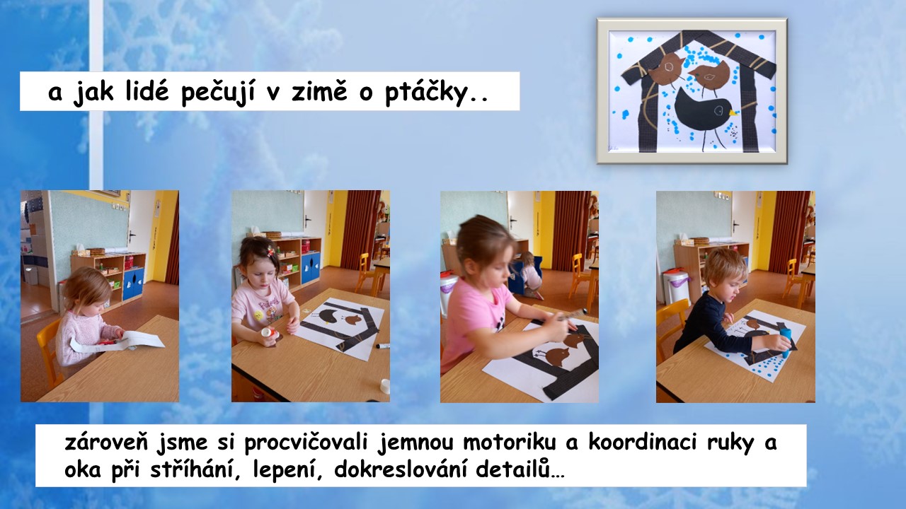Snímek11