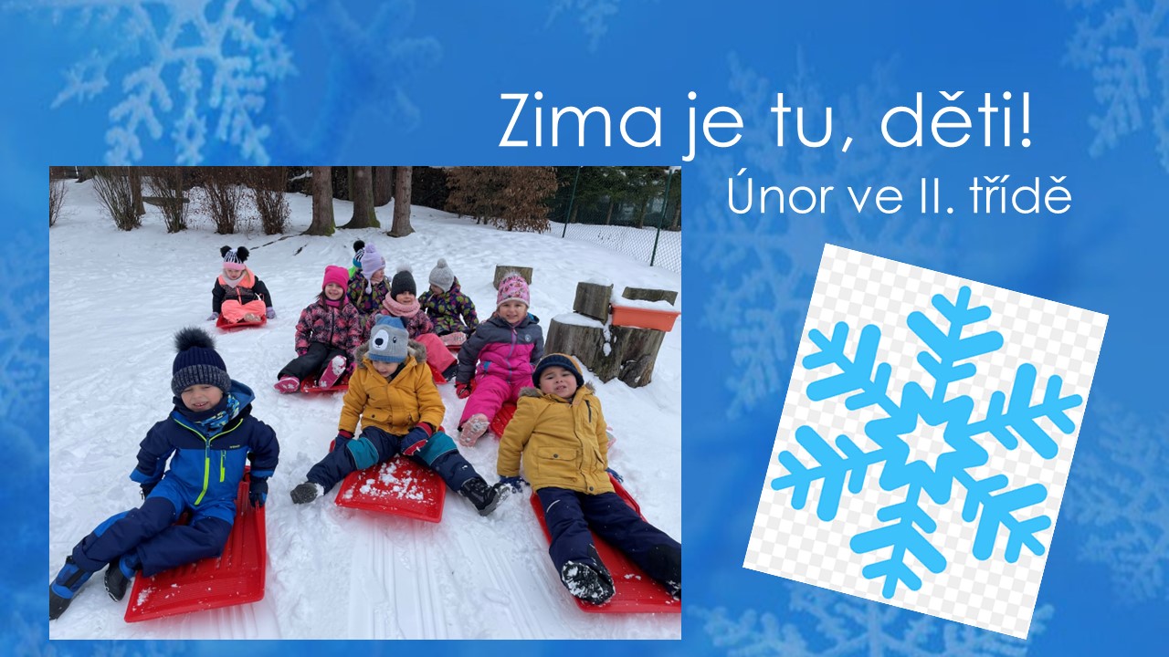 Snímek1