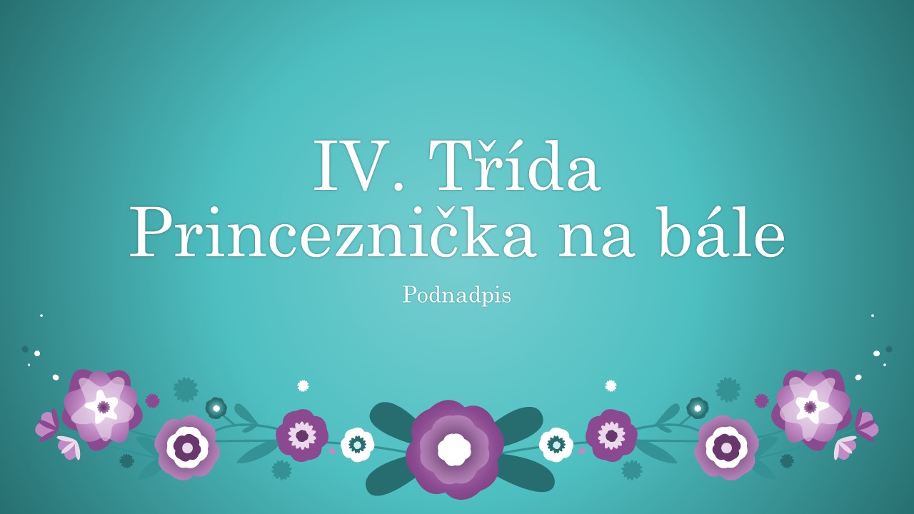 Snímek1