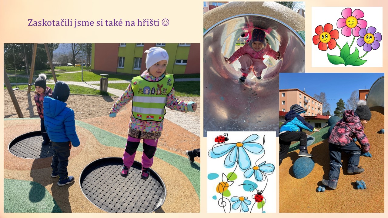 Snímek8