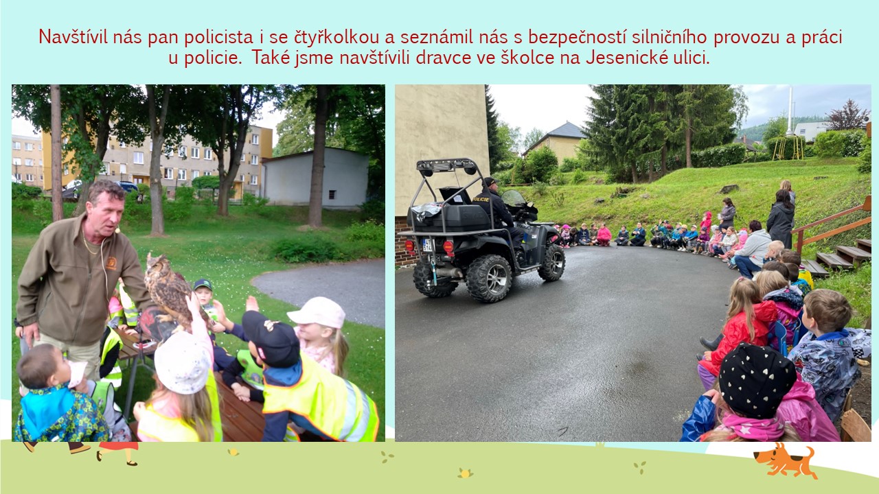 Snímek8