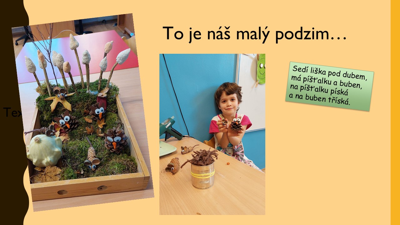 Snímek7