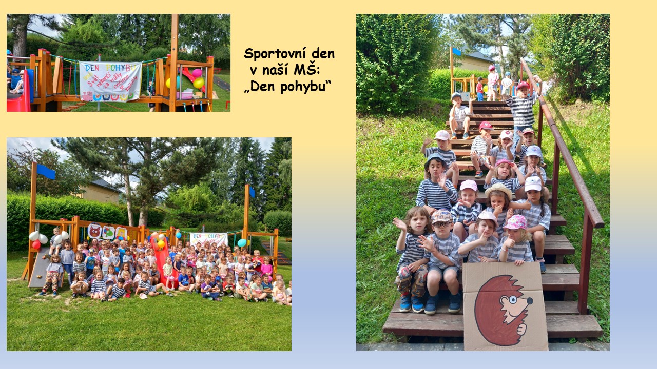 Snímek13