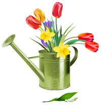 green_watering_can_with_spring_flowers_png_clipart.png